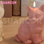 Molde De Silicon Gato